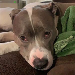 Meet your Posher, Kristina